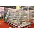 commercial chicken wire mesh cage with auto-equipments